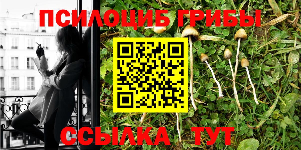 Сургут  Псилоцибиновые грибы ЛСД  Вход с VPN 